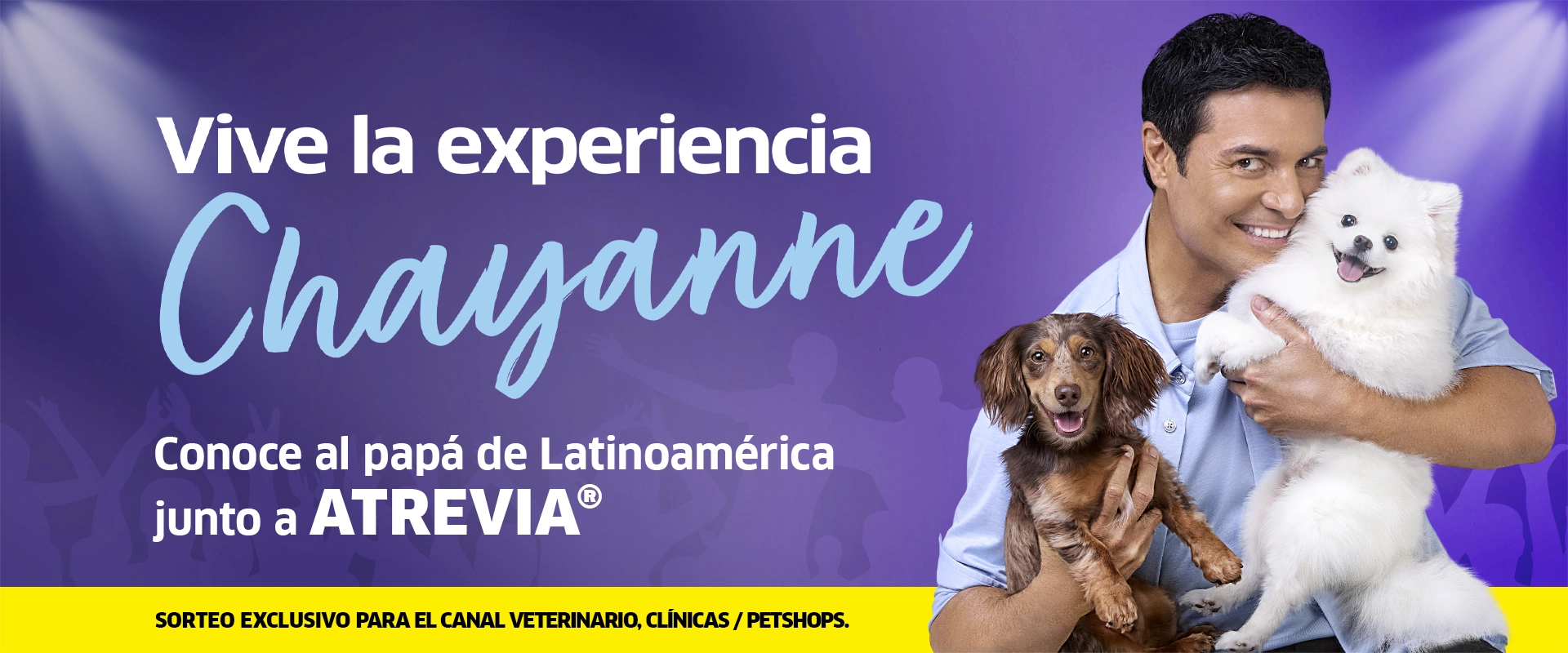 Promo Chayanne Desktop